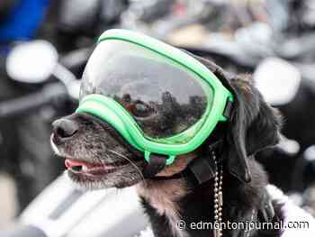 Edmonton weather: The sun rises at 7:25 a.m. and sets at 7:25 p.m.