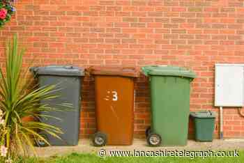 Can you be fined for putting bins out too early? Reddit users debate