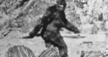 Reality TV series looking for Bigfoot now airing, parts of Ontario in spotlight