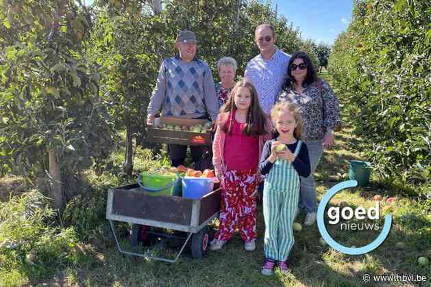 Fruittoeristen plukken 5.000 kilo appelen bij  Fruitbedrijf Peeters