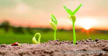 Start-ups leiden unter aktuellen Krisen - Berlin bleibt wichtigste Gründerstadt