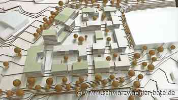 Bauknecht-Areal in Calw: Büroflächen werden fast verfünffacht