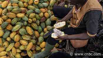 Some soft commodity prices are surging, adding to consumer woes