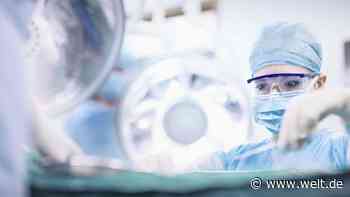 Dieses EU-Verbot droht Deutschland ins Chaos zu stürzen