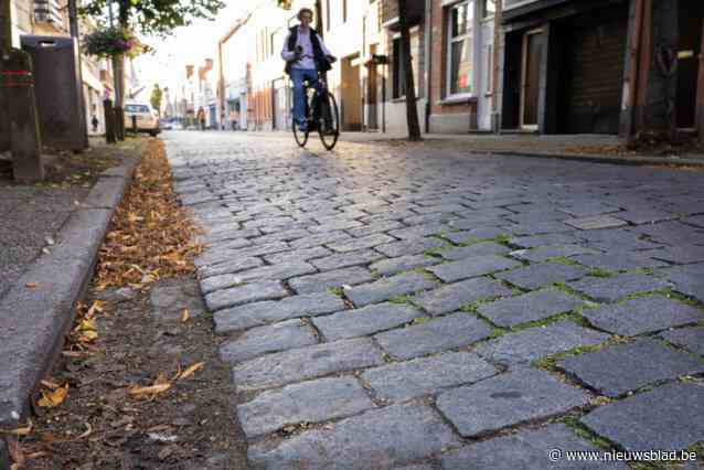 Kempense gemeenten scoren matig tot slecht op Fietsrapporten, alleen Westerlo doet het goed: “Nergens zo veel snelheidsinformatieborden”