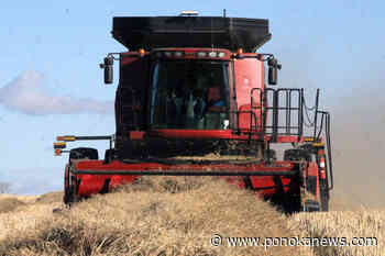 Ponoka and District Growing Project harvest this weekend