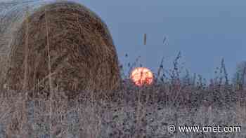 How to See the Full Harvest Supermoon Rise This Week     - CNET