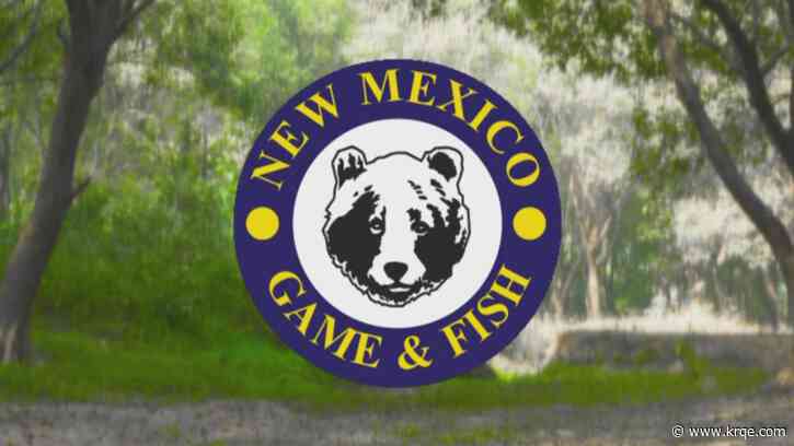New Mexico Game & Fish hiring game wardens