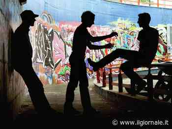 Il "branco" devasta la casa vacanze: adolescenti incastrati con un selfie