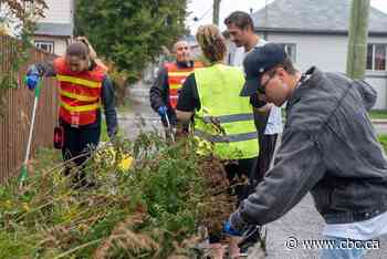 How neighbourhood cleanups like these make Thunder Bay a safer place to live
