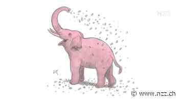 KOMMENTAR - Weg mit unnützer Medizin! Denn sie ist schädlich und teuer