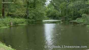 Future of Lake Conrad 2 in Virginia Beach unclear, neighbors point to its importance amid storm damage