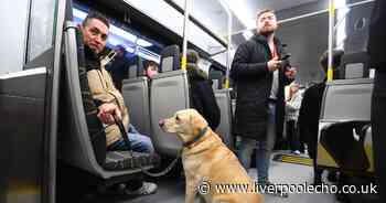 Merseyrail commuters ask 'why' as they issue demand over trains