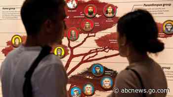 We carry DNA from extinct cousins like Neanderthals. Science is now revealing their genetic legacy