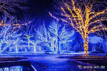 „X-Mas Lights“ erhellen in der Vorweihnachtszeit den Allwetterzoo