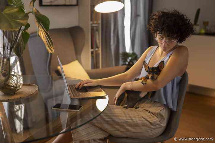 The Pros and Cons of Being a Freelancer