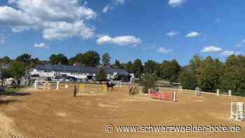 Neuer Aldi in Neubulach?: Zwingt die Stadt jetzt den Reitverein, die Anlagen aufzugeben?