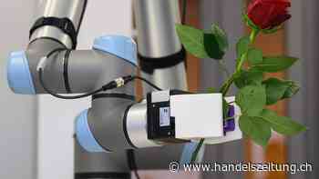 Zahl neuer Industrieroboter nimmt immer weiter zu