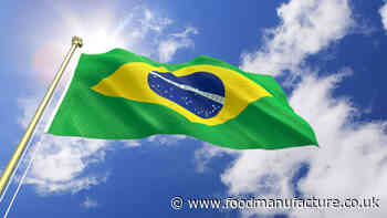 Brazilian giant JBS begins construction on cultivated protein research centre