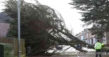 5 things everyone with a garden should do before Storm Agnes according to expert