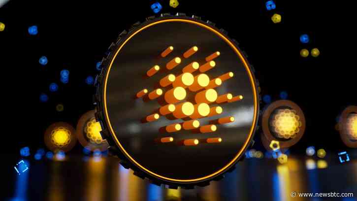 Cardano $0.24 Support Test: Can ADA Price Reverse Its Downward Trend?