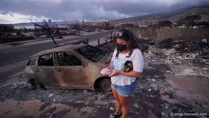 Locals in Hawaii return to sites of homes wrecked by August’s Lahaina wildfire