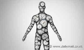 Getting ALL your body clocks in sync could help you live longer... Believe it or not, you've got a whole host of them