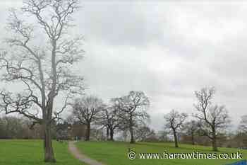 Watling Park, Burnt Oak closed after reports of rape