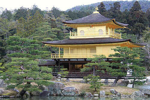 Windrose: Neue Luxus-Broschüre