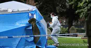 What we know so far after body found in 'concealed' area of Sunderland cemetery