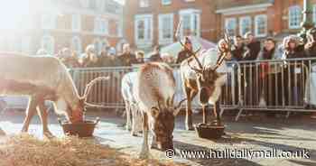 Five days of Christmas markets set to bring festive cheer to Beverley