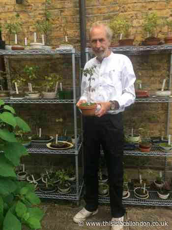 Highgate Horticultural Society Autumn Show 2023