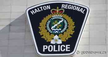 Man faces assault charges after Halton police officers attacked in Ottawa