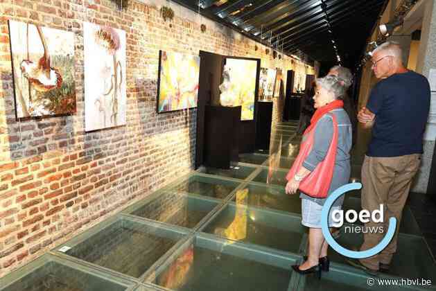 Leden Tongerse Kunstkring stellen hun werk tentoon in De Velinx