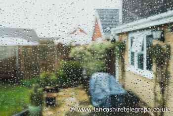 Storm Agnes: How to protect your garden from strong wind