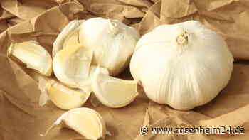 Knoblauch anstatt Antibiotikum? Zusammen mit Honig ist die Knolle noch effektiver