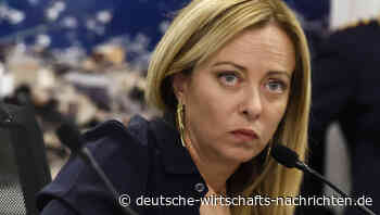 Grüne verteidigen deutsche Zahlungen an Seenotretter in Italien