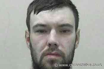 Benwell thug held knife to puppy's throat and threatened to slit it during attack on ex and neighbour