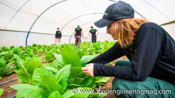 BioBetter Pioneers Cultivated Meat Future with Molecular Farming