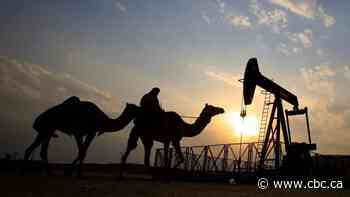 How petro-nations are approaching the shift to net zero and the future of oil