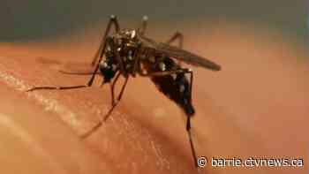 Human case of West Nile virus confirmed in Simcoe Muskoka
