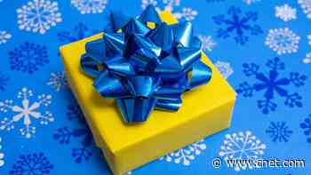 37 Best Christmas Gifts Under $100 for Everyone on Your List     - CNET