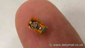 The 'brainternt' project: Scientists create wireless implants that could let users control computes and smart devices with their MINDS