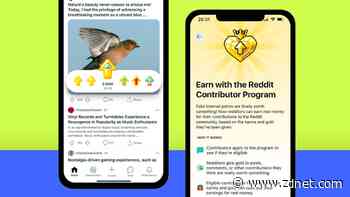 You can earn real money on Reddit now. Here's how