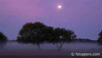 Important Photo Editing Fundamentals for New Photographers