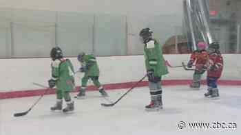 Tween Girls' Hockey League cancels 2023-24 season, blames lack of city ice time