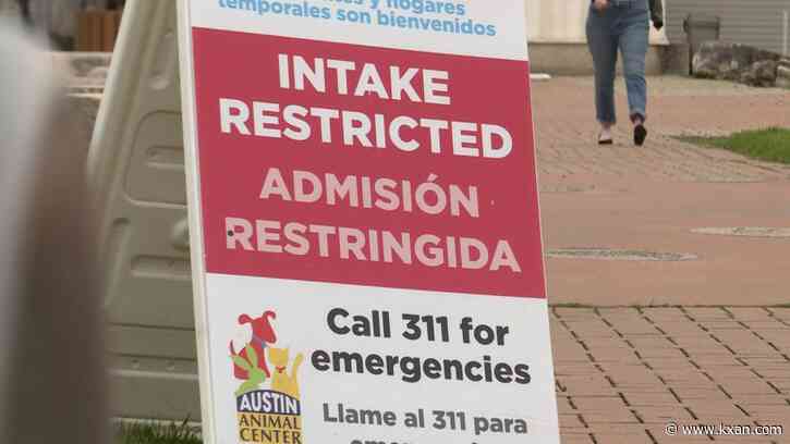 Austin Animal Center audit finds poor conditions, challenges with 'no kill' policy
