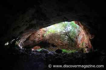 Why Did Stone and Bronze Age People Crack the Bones of Their Dead?