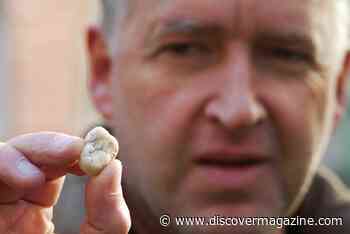 Do Giants Exist: What Does the Evidence Say About Real-Life Giants?