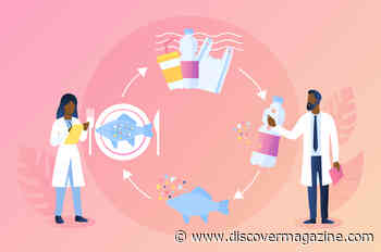 Microplastics Are Everywhere. What Are They Doing to Our Health?